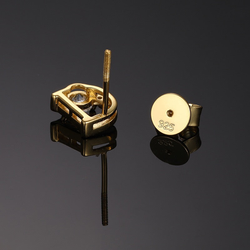 925S & Moissanite Luxury Earrings